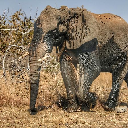 Ouklip Game Lodge Klipdrift Zewnętrze zdjęcie