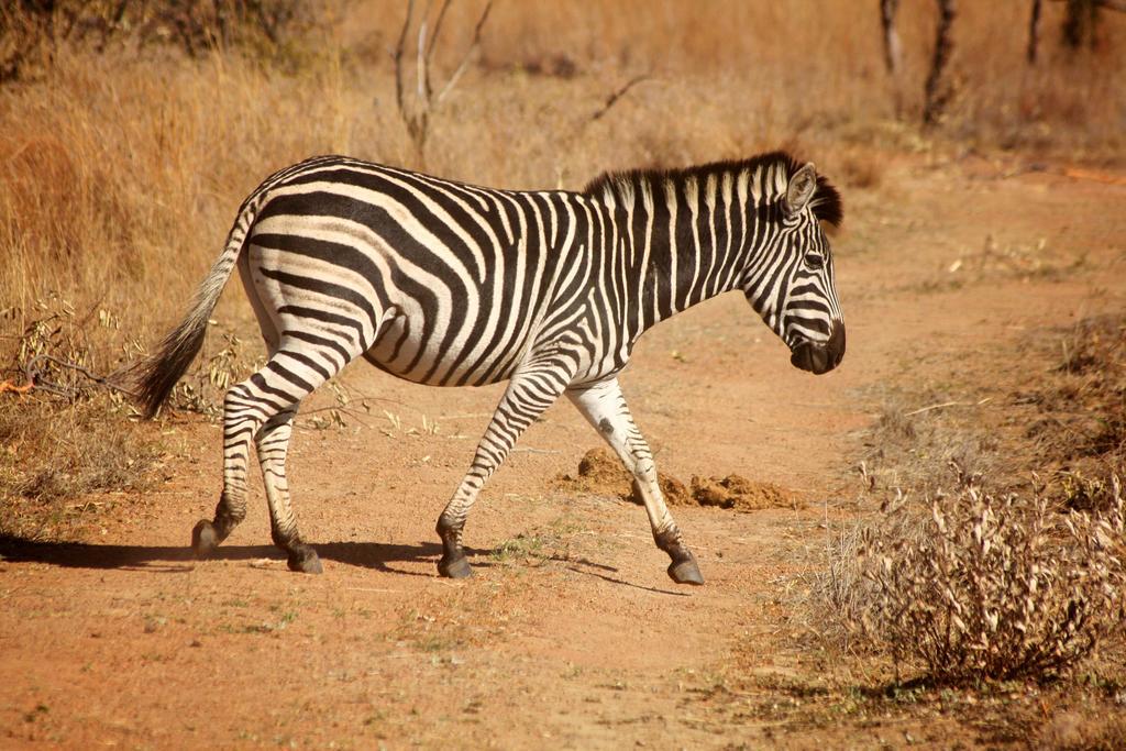Ouklip Game Lodge Klipdrift Zewnętrze zdjęcie