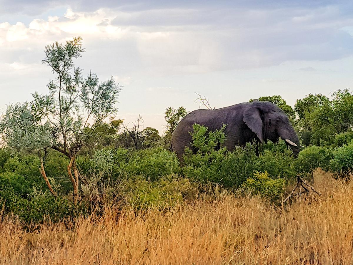 Ouklip Game Lodge Klipdrift Zewnętrze zdjęcie
